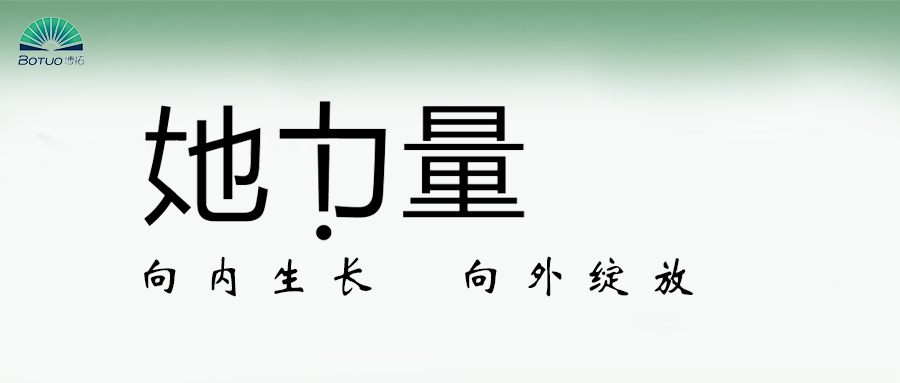 她力量 | 向内生长 向外绽放